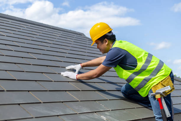 Best Roof Leak Repair  in Nevada, MO