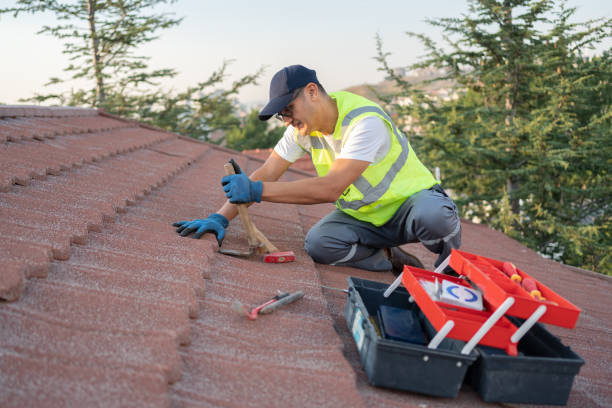 Best Roof Leak Repair  in Nevada, MO