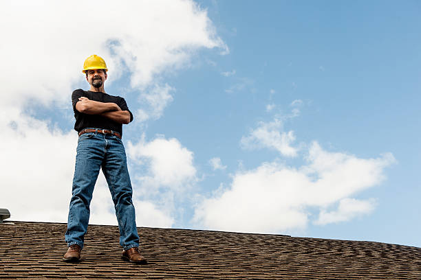 Best Gutter Installation and Roofing  in Nevada, MO