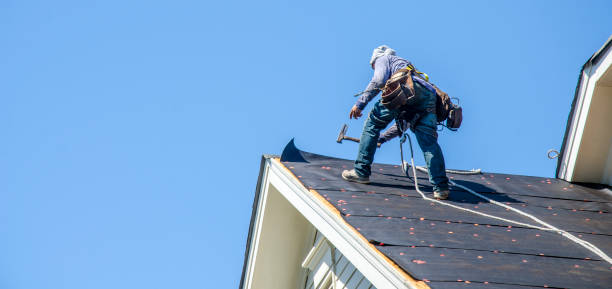 Best Roof Maintenance Services  in Nevada, MO